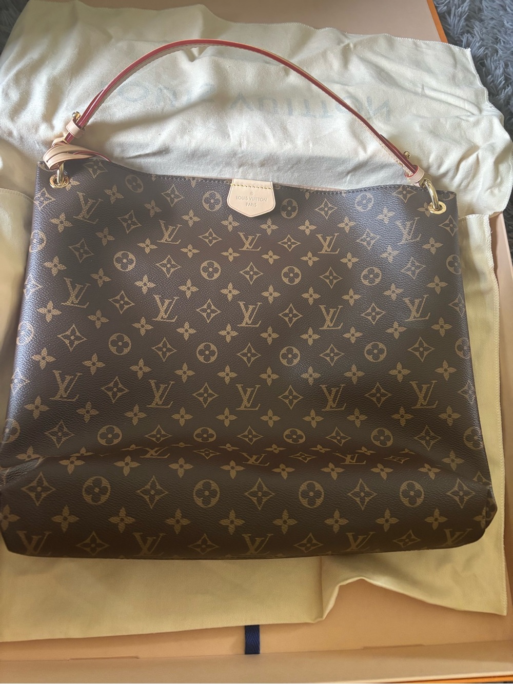 Louis Vuitton Monogram Canvas Shoulder Hobo with Vachetta Trim